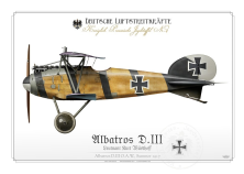 Albatros D.III Ltn. Wusthoff 1917 BH-34