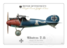 Albatros D.V. Ltn. Strähle 1917 BH-20