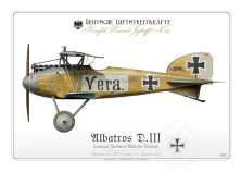 Albatros D.III Ltn. Wichard 1917 BH-32