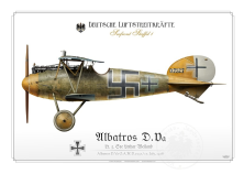 Albatros D.Va Ltn. Weiland 1918 BH-21