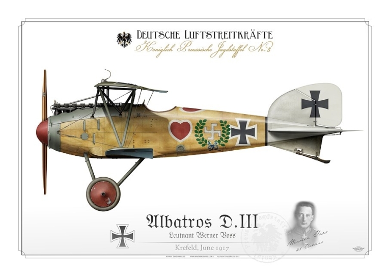 Albatros D.III Ltn. Voss 1917 BH-33