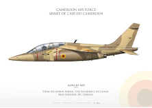 Alpha Jet MS2 Cameroun FF-61