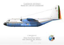 C-130H Cameroun FF-64
