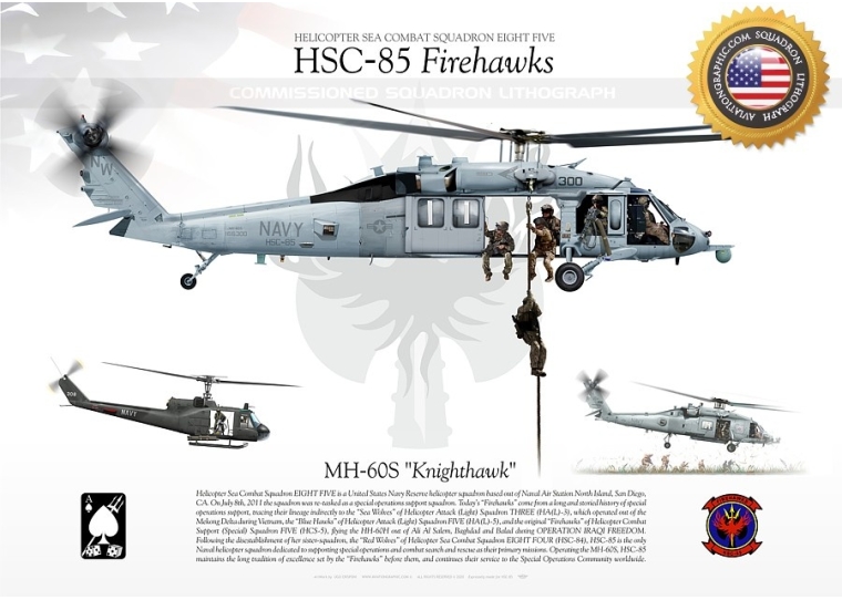 MH-60S "Knighthawk" HSC-85 "Firehawks" JP-3868
