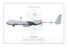 EADS Harfang Escadron de Drones 1/33 "Belfort" FF-110