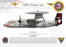 E-2C "Hawkeye" VAW-124 "Bear Aces" JP-2899B