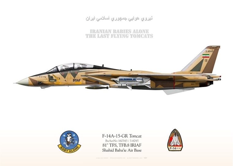 F-14A IRIAF-3-6045 JP-4222