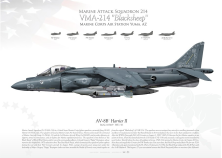 AV-8B+“Harrier II“ VMA-214 "Blacksheep" JP-4622