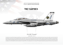 EA-18G "Growler" VX-9 "Vampires" JP-1167