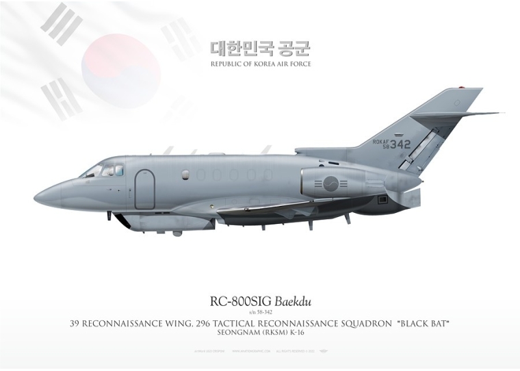 RC800SIG  ROKAF JP-4518