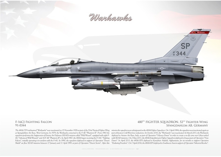 F-16CJ 480th FS "Warhawks" LW-170