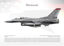 F-16CJ 480th FS "Warhawks" LW-171