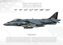 AV-8B+“Harrier II“ VMA-214 "Blacksheep" JP-3456