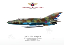MiG-21UM DAAFAR 2022 JP-4854