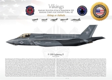 F-35B VMFA-225 "Vikings"...