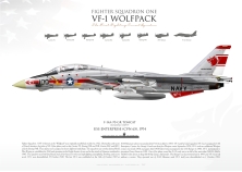 F-14A VF-1 "Wolfpack" JP-4163