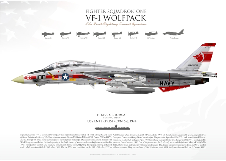 F-14A VF-1 "Wolfpack" JP-4163