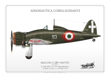 Maccchi 200 "Saetta" ItAF CC-17