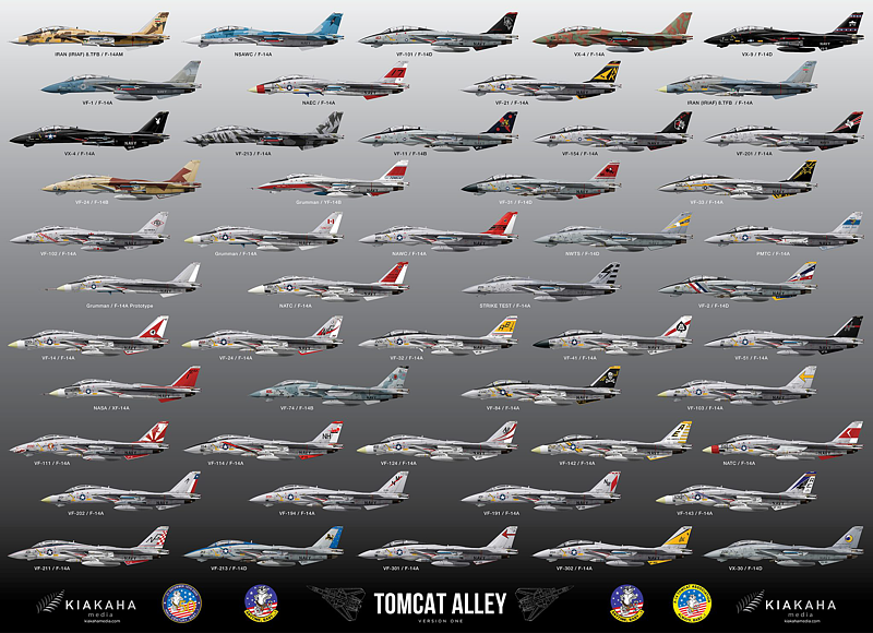 TOMCATS